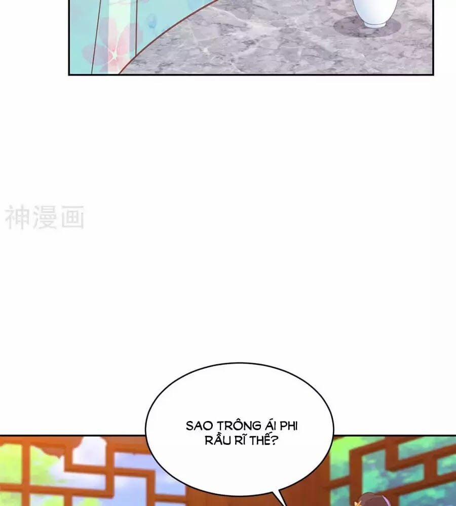 Phượng Hoàng Thác: Chuyên Sủng Khí Thê 42 trang 12