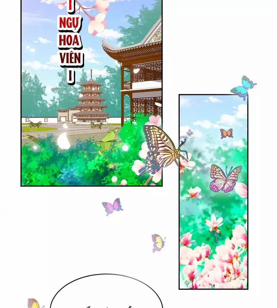 Phượng Hoàng Thác: Chuyên Sủng Khí Thê 42 trang 7