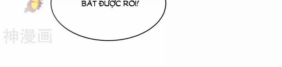 Phượng Hoàng Thác: Chuyên Sủng Khí Thê 42 trang 8