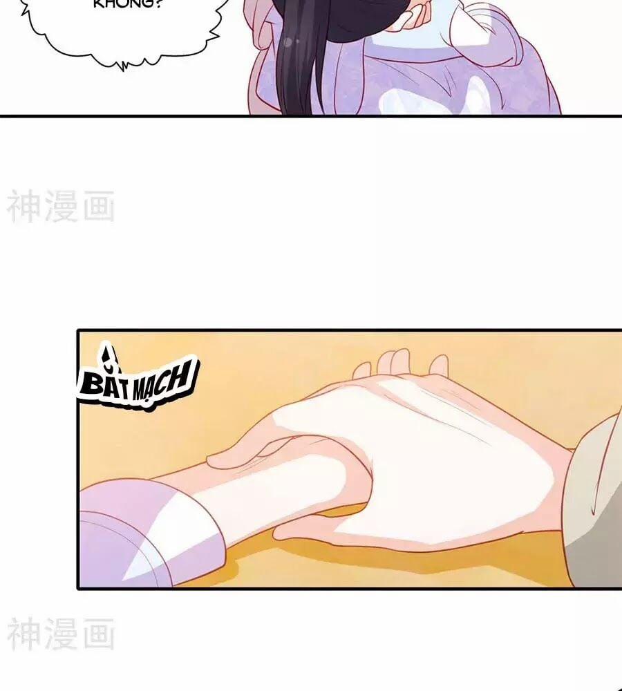 Phượng Hoàng Thác: Chuyên Sủng Khí Thê 43 trang 14