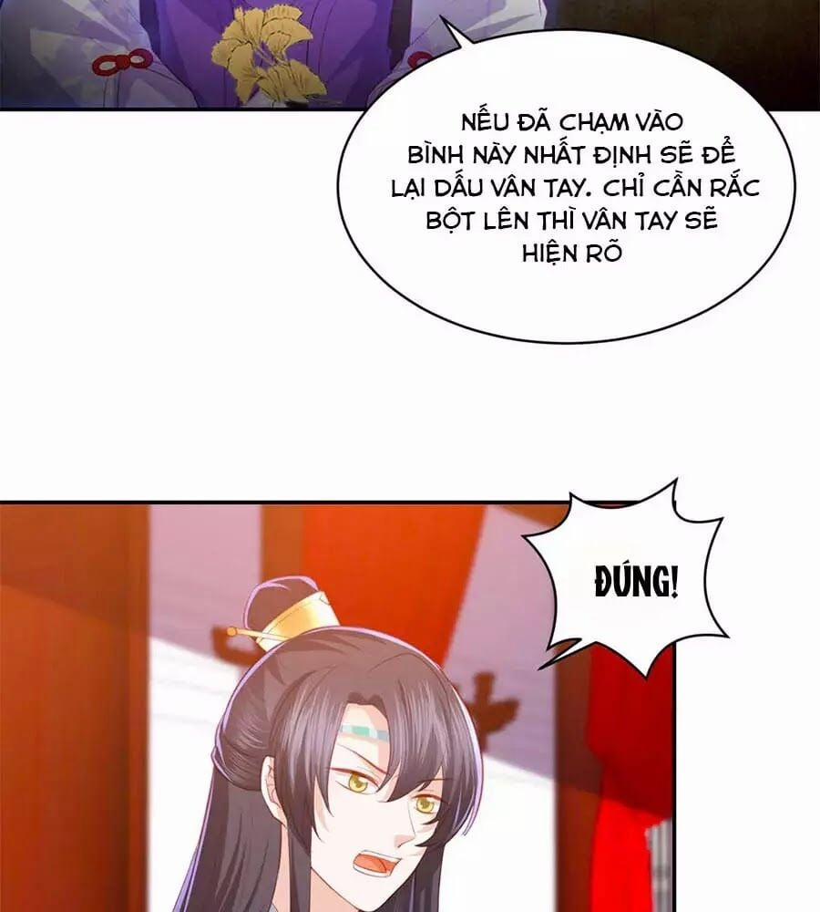 Phượng Hoàng Thác: Chuyên Sủng Khí Thê 44 trang 10