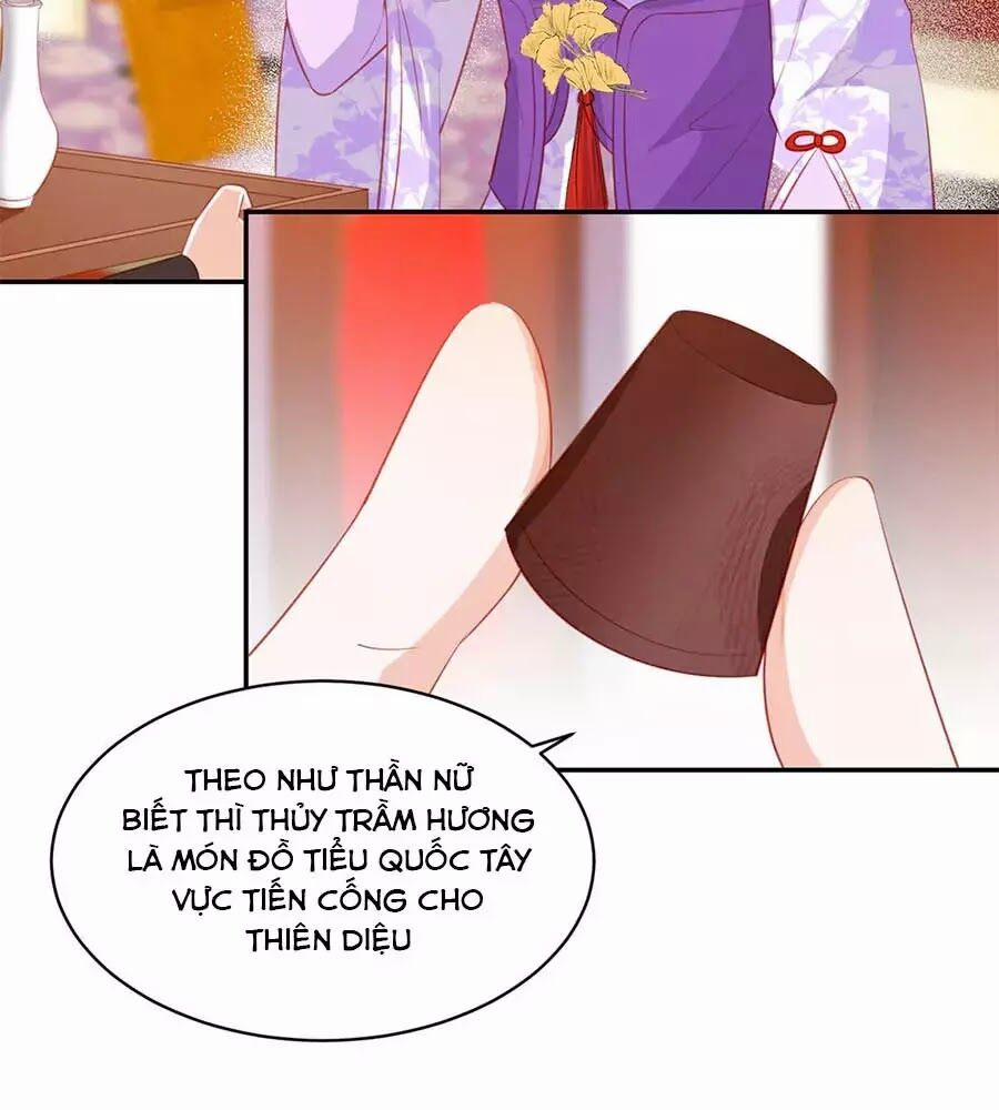 Phượng Hoàng Thác: Chuyên Sủng Khí Thê 44 trang 5