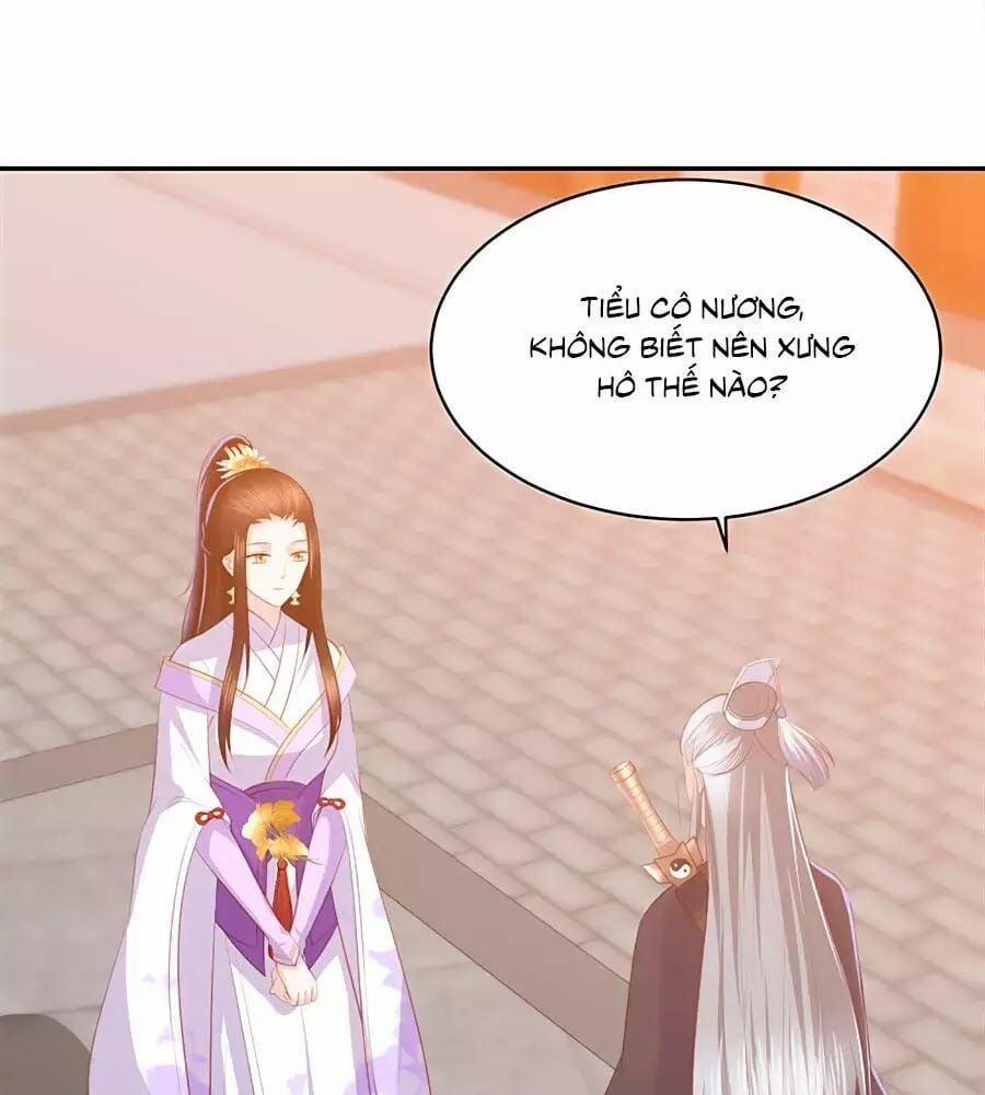 Phượng Hoàng Thác: Chuyên Sủng Khí Thê 47 trang 0