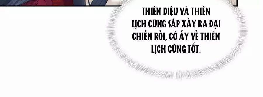 Phượng Hoàng Thác: Chuyên Sủng Khí Thê 47 trang 24