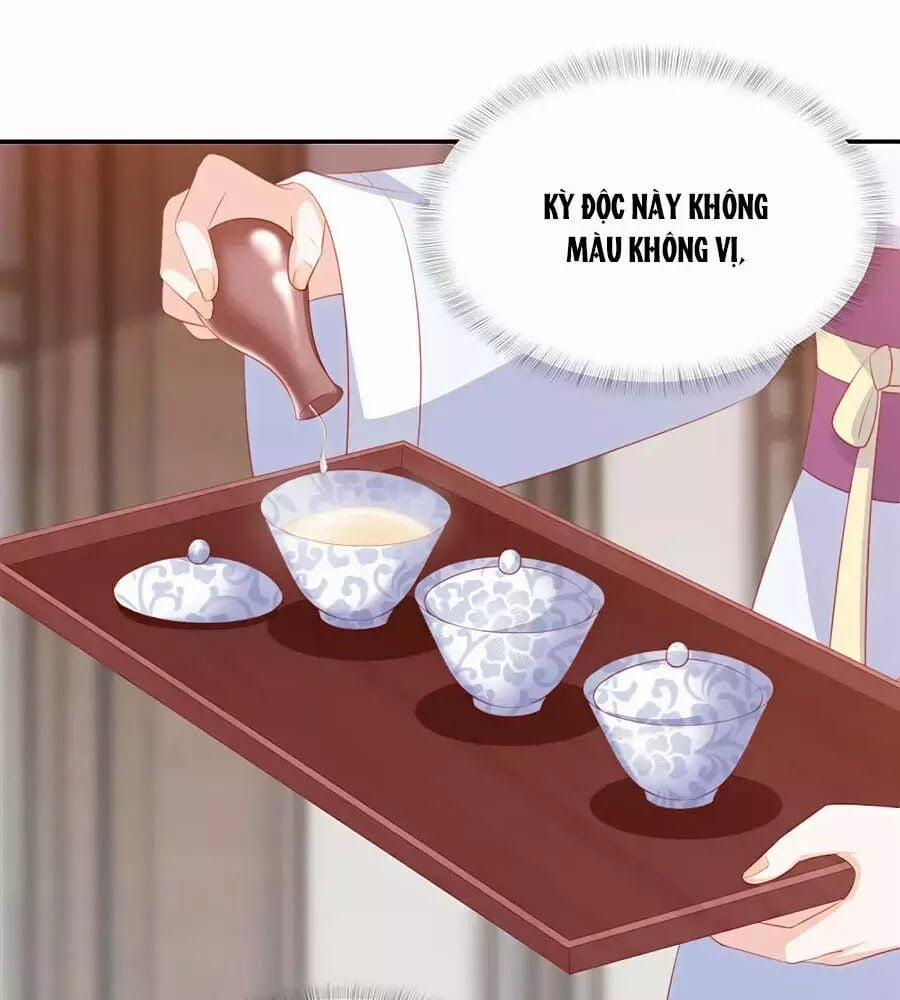 Phượng Hoàng Thác: Chuyên Sủng Khí Thê 47 trang 36