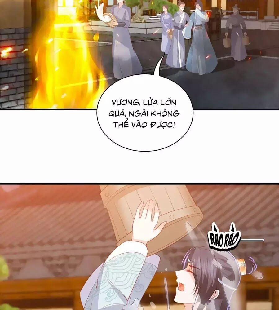 Phượng Hoàng Thác: Chuyên Sủng Khí Thê 48 trang 37