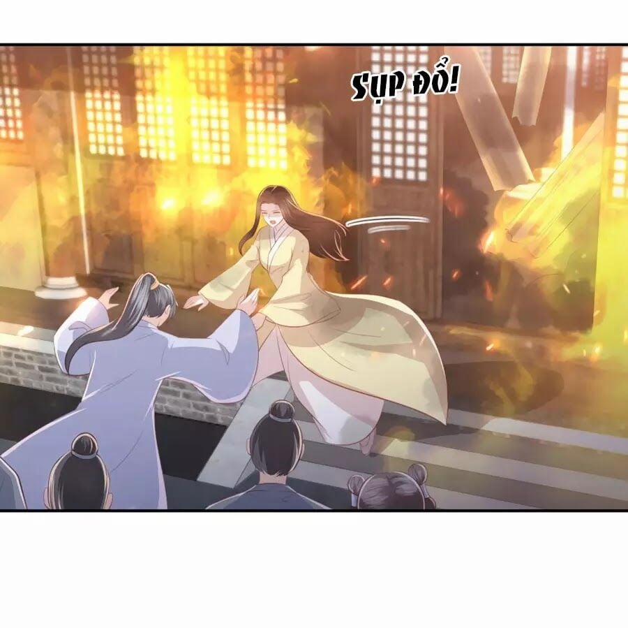 Phượng Hoàng Thác: Chuyên Sủng Khí Thê 49 trang 19