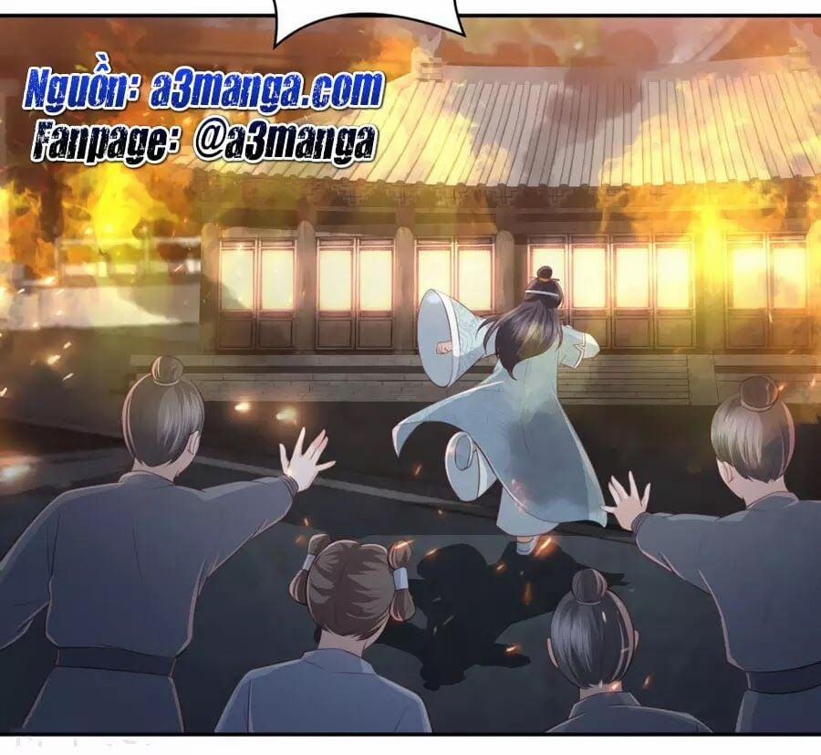 Phượng Hoàng Thác: Chuyên Sủng Khí Thê 49 trang 2