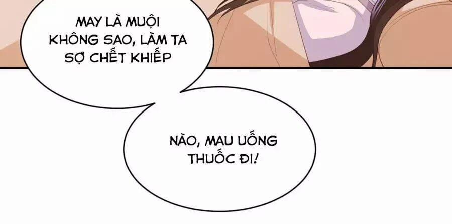 Phượng Hoàng Thác: Chuyên Sủng Khí Thê 49 trang 29