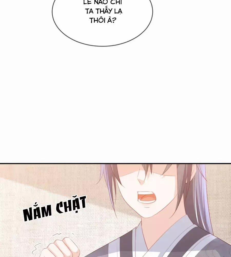 Phượng Hoàng Thác: Chuyên Sủng Khí Thê 50 trang 21