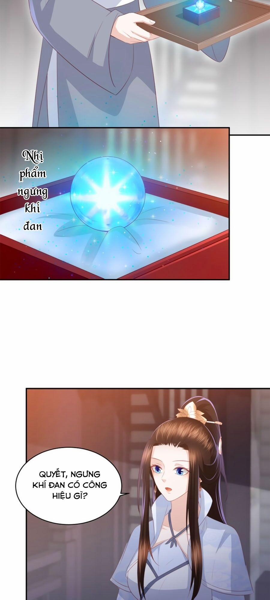 Phượng Hoàng Thác: Chuyên Sủng Khí Thê 60 trang 11