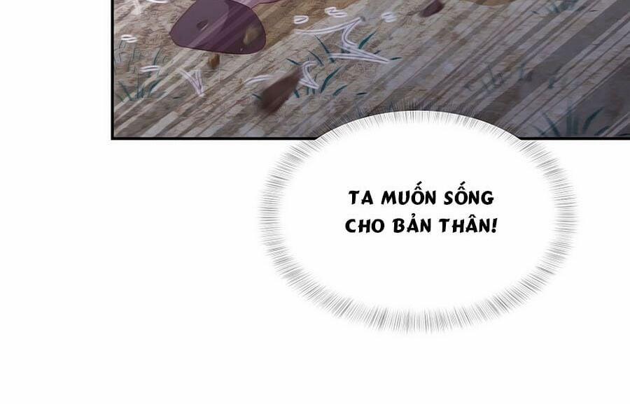 Phượng Hoàng Thác: Chuyên Sủng Khí Thê 64 trang 11