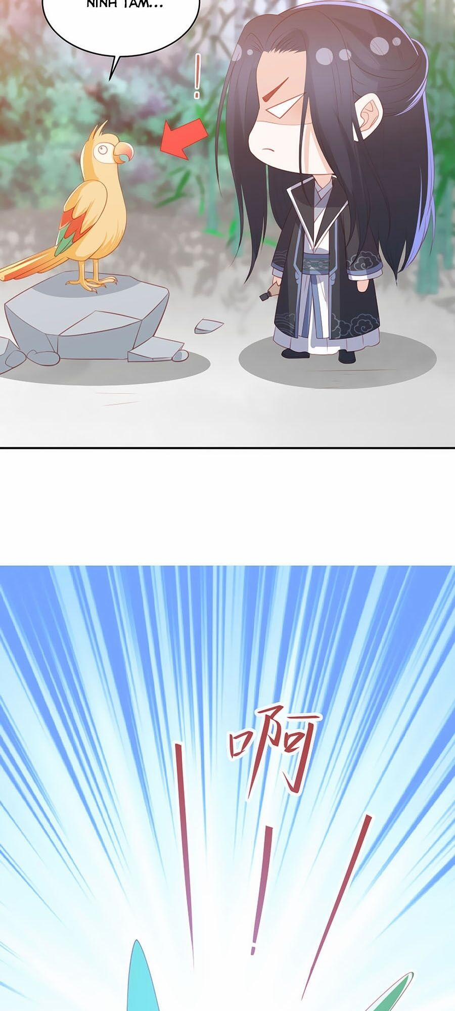 Phượng Hoàng Thác: Chuyên Sủng Khí Thê 69 trang 24