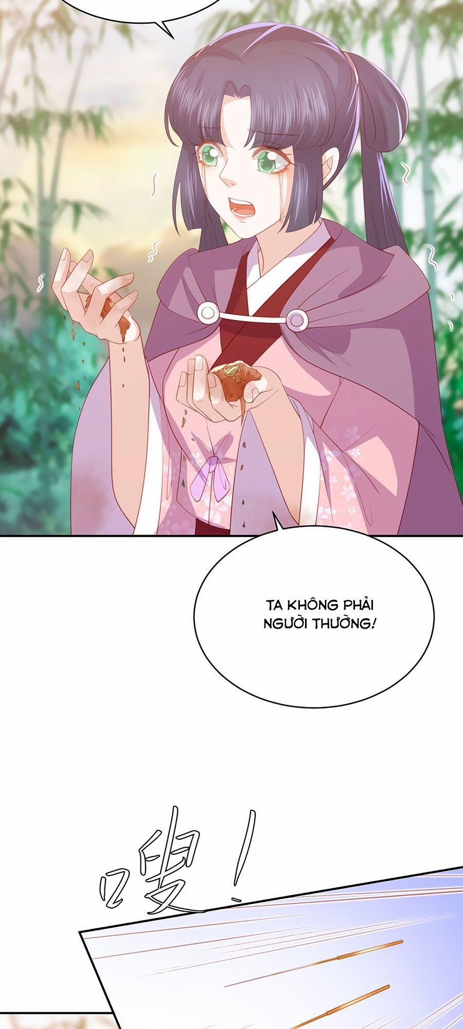 Phượng Hoàng Thác: Chuyên Sủng Khí Thê 69 trang 5