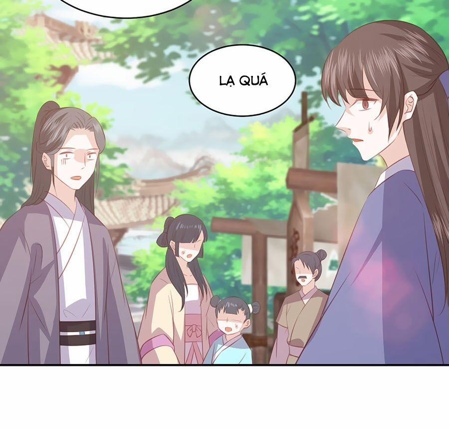 Phượng Hoàng Thác: Chuyên Sủng Khí Thê 73 trang 3