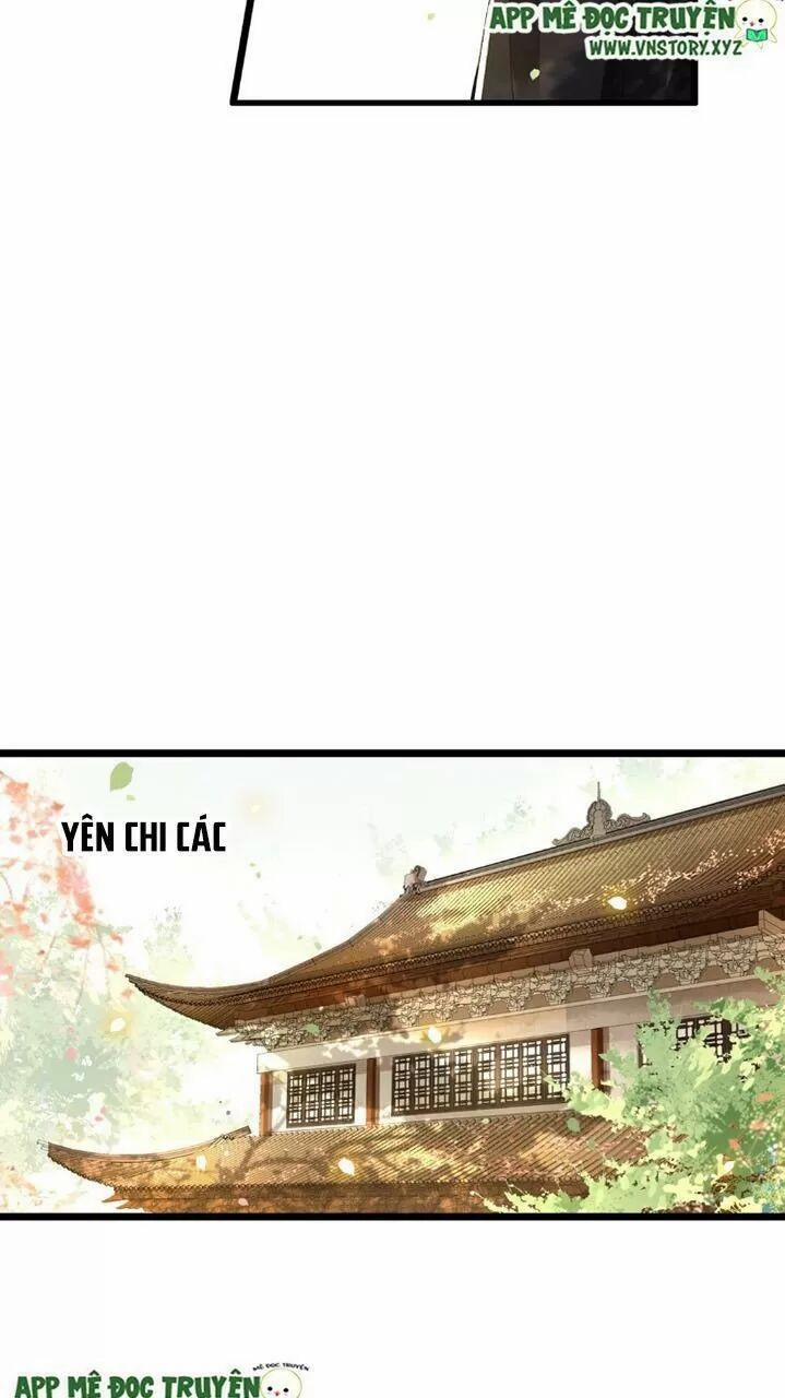 Phượng Hoàng Vu Phi 40 trang 10