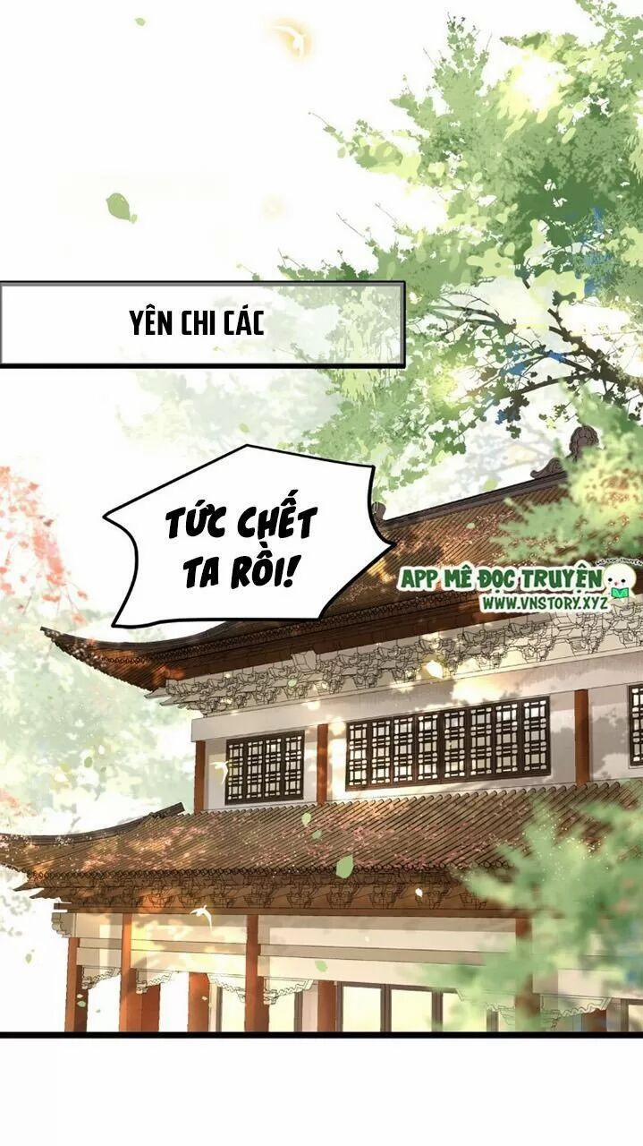 Phượng Hoàng Vu Phi 41 trang 15