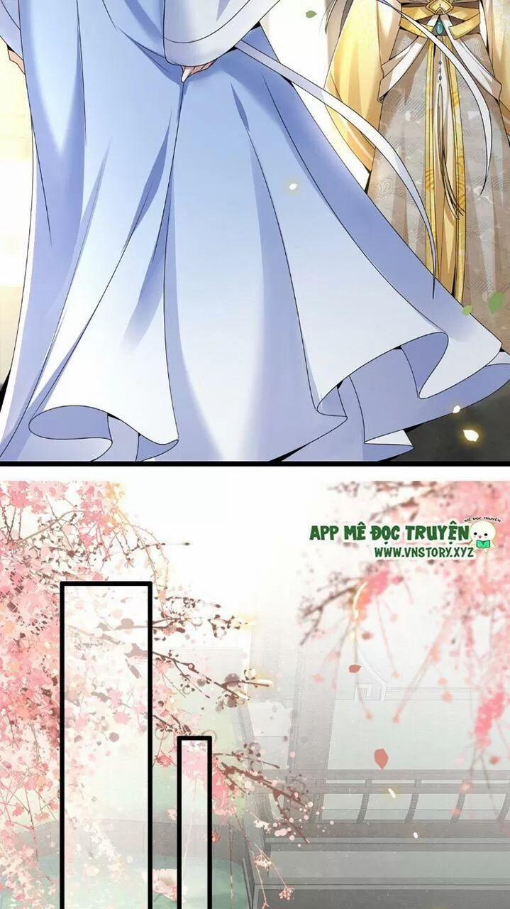 Phượng Hoàng Vu Phi 46 trang 11