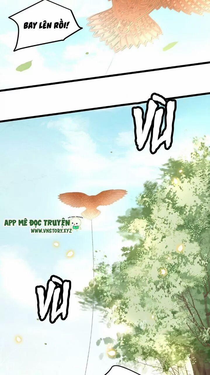 Phượng Hoàng Vu Phi 49 trang 11