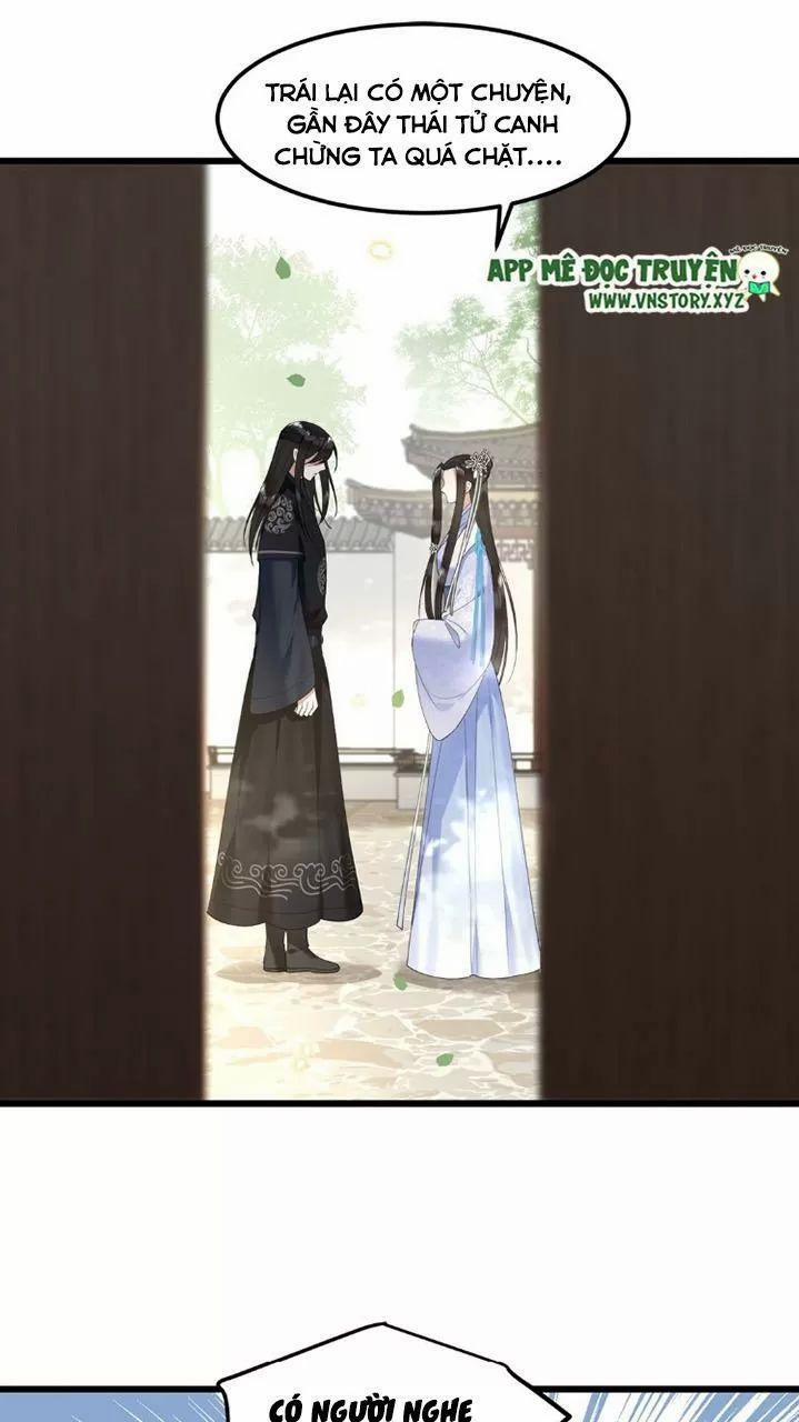 Phượng Hoàng Vu Phi 50 trang 7