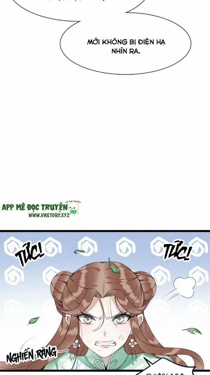 Phượng Hoàng Vu Phi 53 trang 4