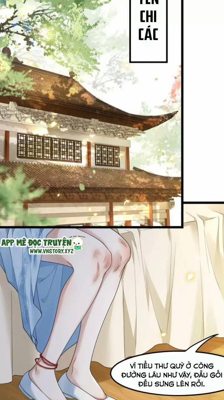 Phượng Hoàng Vu Phi 61 trang 24