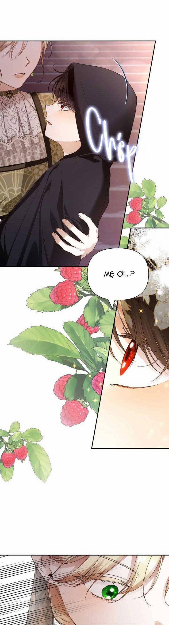 Phương Pháp Che Giấu Đứa Con Của Hoàng Đế 64 trang 2