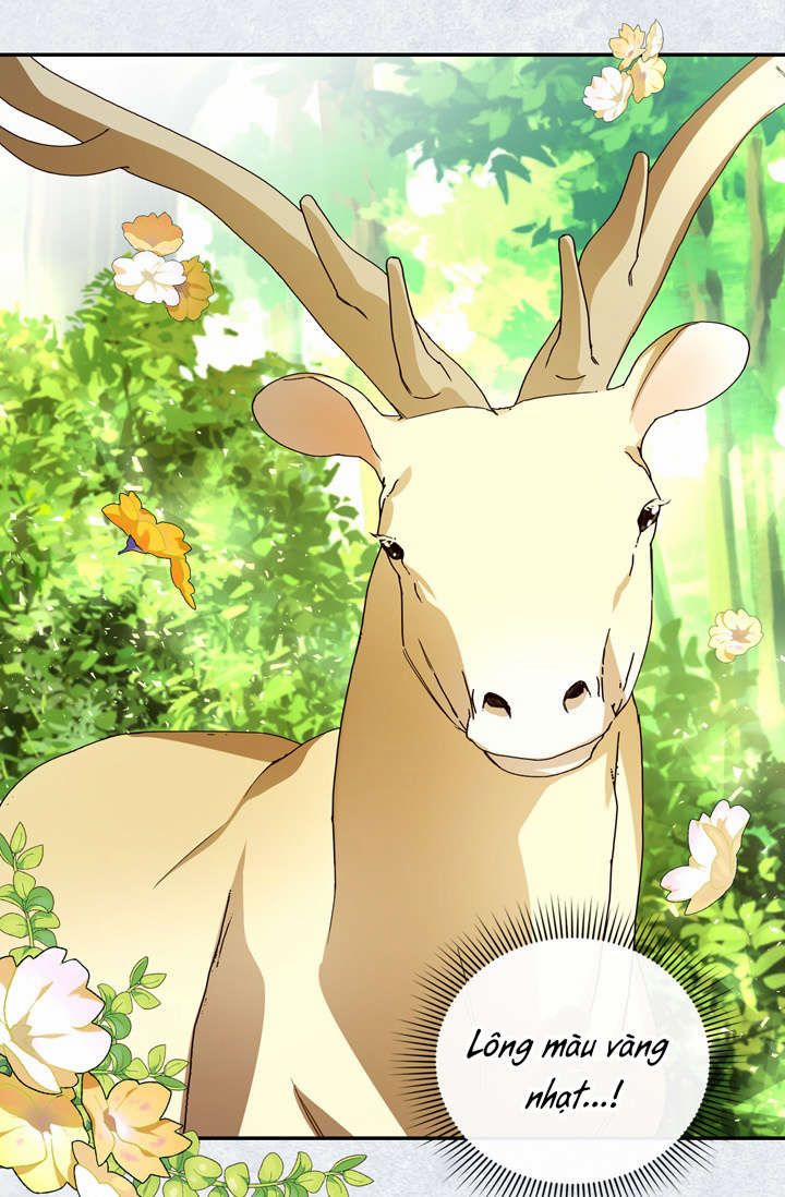 Phương Pháp Che Giấu Đứa Con Của Hoàng Đế 8 trang 44