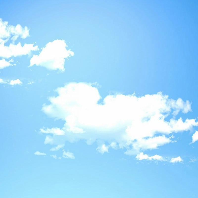 Phương Pháp Giảng Dạy Của Ngài Công Tước Nhã Nhặn 27 trang 0