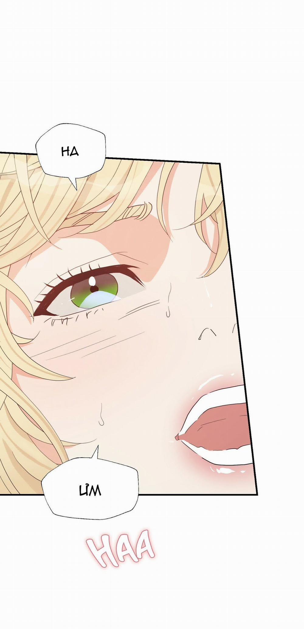 Phương Pháp Trợ Giảng Của Ngài Công Tước Nhã Nhặn 9.1 trang 17