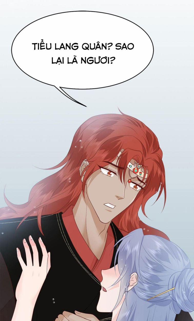 Phượng Thạp Thê Loan 11 trang 15