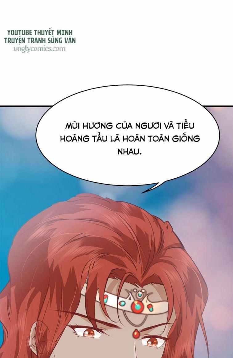 Phượng Thạp Thê Loan 11 trang 35