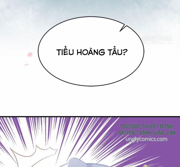 Phượng Thạp Thê Loan 11 trang 7