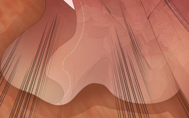 Phượng Thạp Thê Loan 14 trang 24