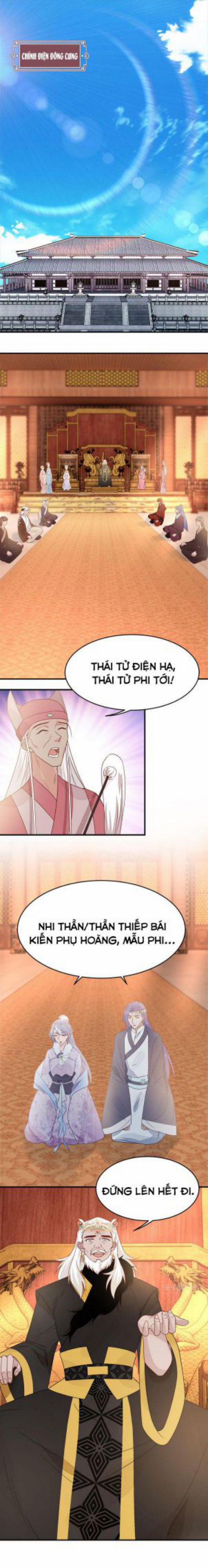 Phượng Thạp Thê Loan 19 trang 0