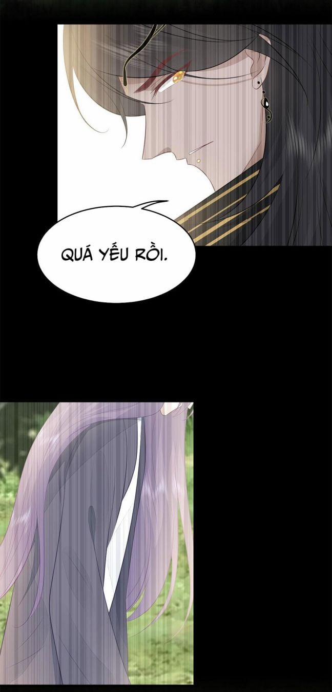 Phượng Thạp Thê Loan 28 trang 11