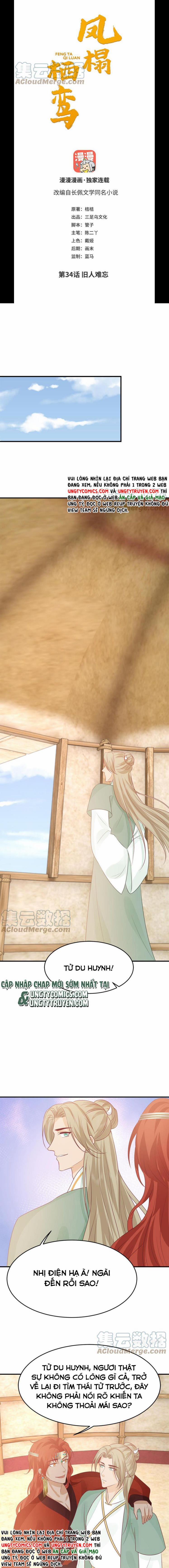 Phượng Thạp Thê Loan 34 trang 1