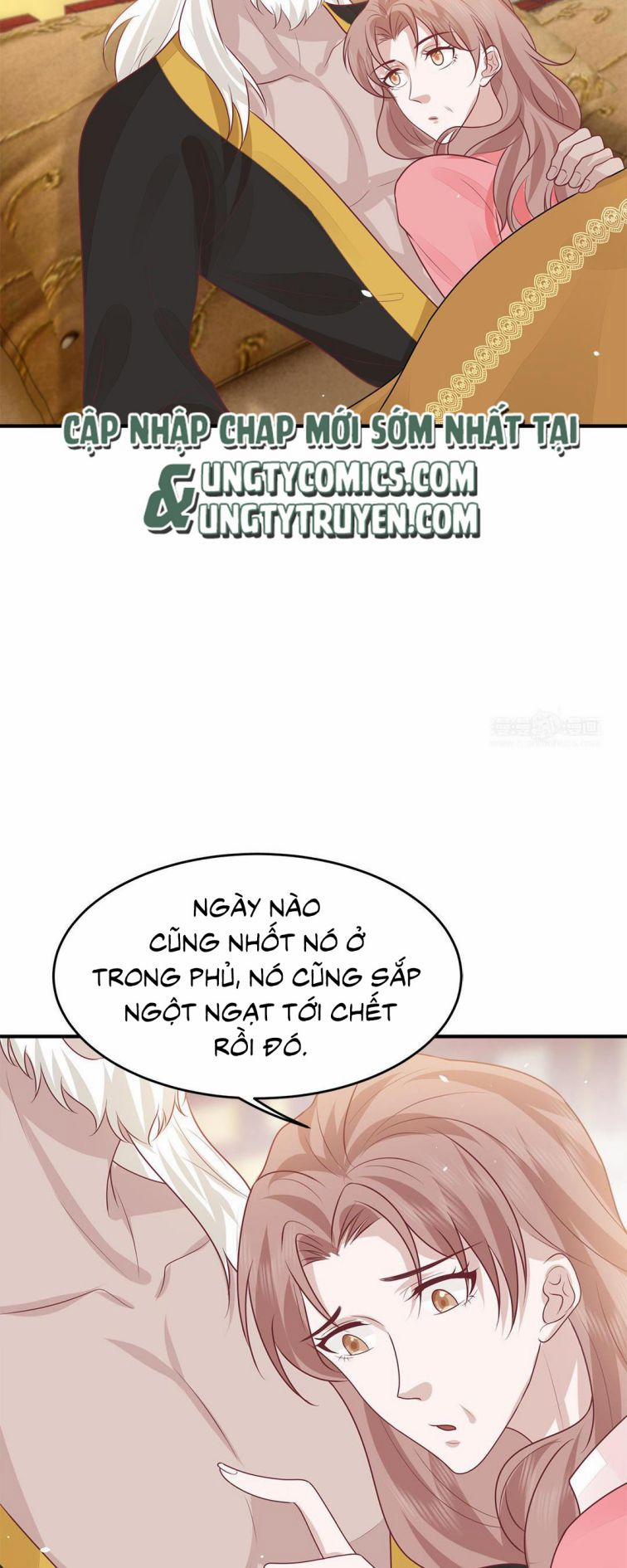 Phượng Thạp Thê Loan 38 trang 4