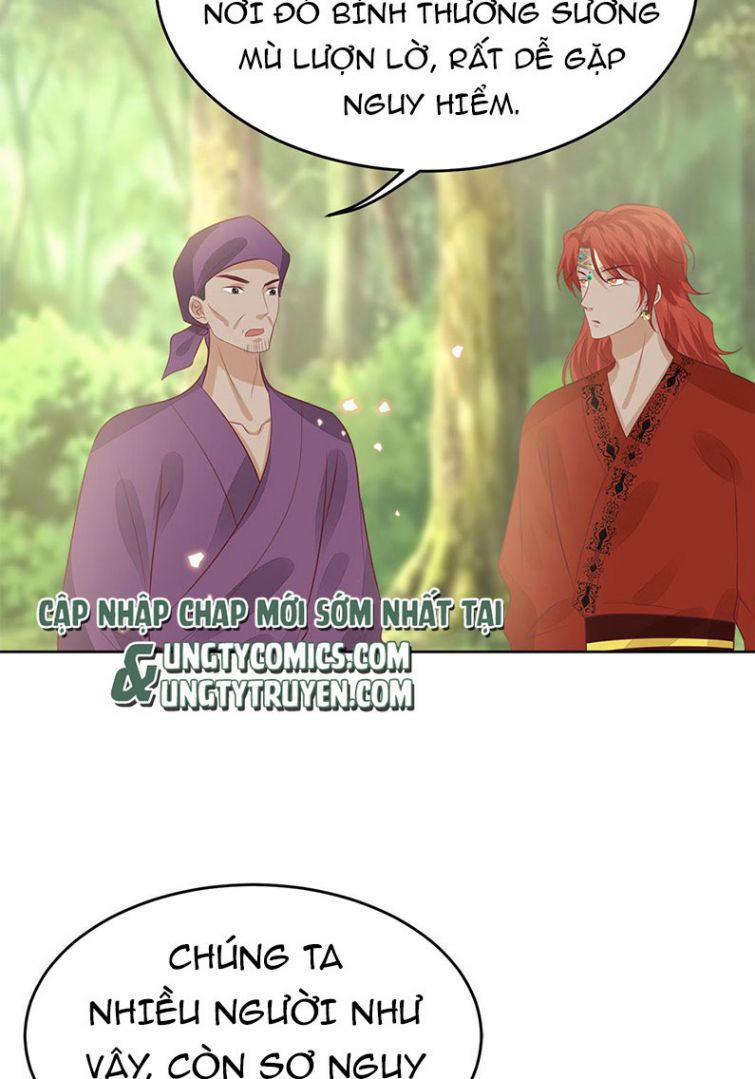 Phượng Thạp Thê Loan 52 trang 8