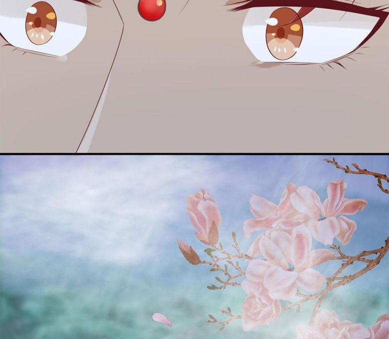 Phượng Thạp Thê Loan 9 trang 13