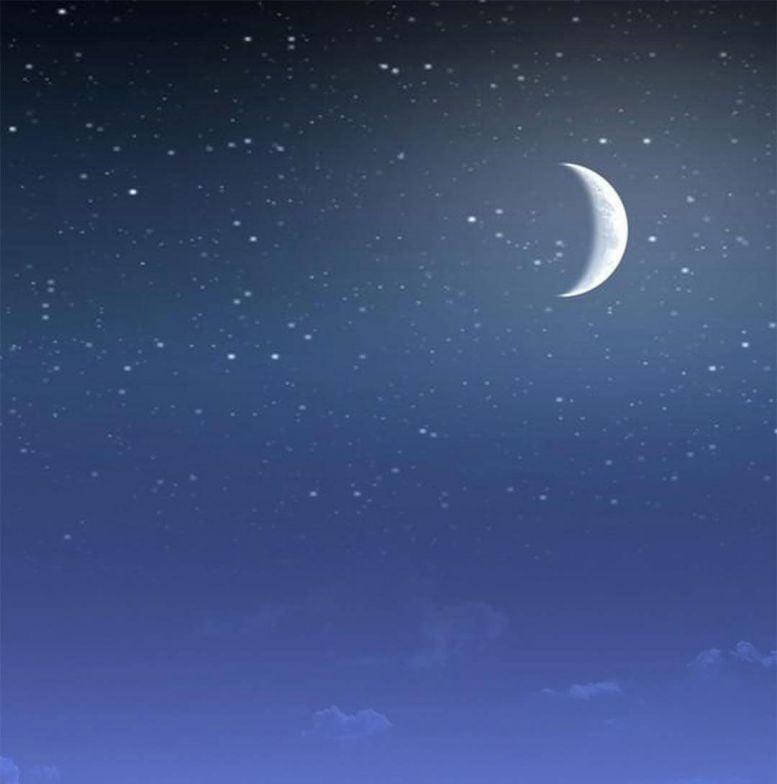 Phượng Thạp Thê Loan 9 trang 2