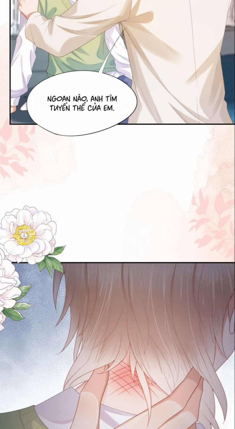 Phương Thức Chính Thức Giải Cứu Tiểu Đáng Thương 25 trang 4