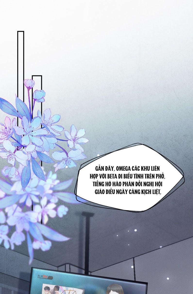 Phương Thức Chính Thức Giải Cứu Tiểu Đáng Thương 77 trang 16