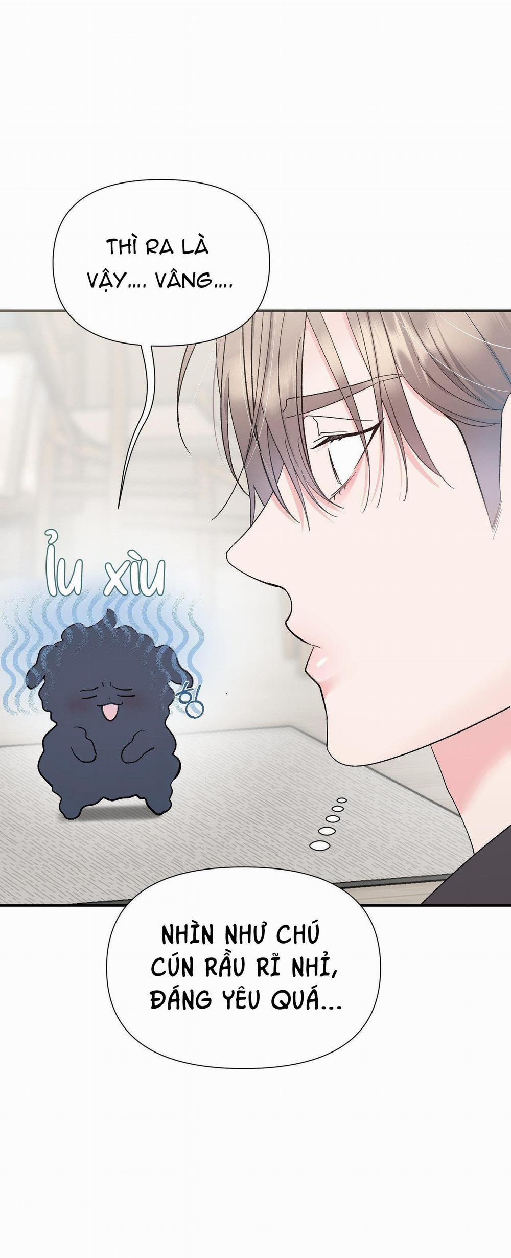 Pit-A-Pat 6 trang 11