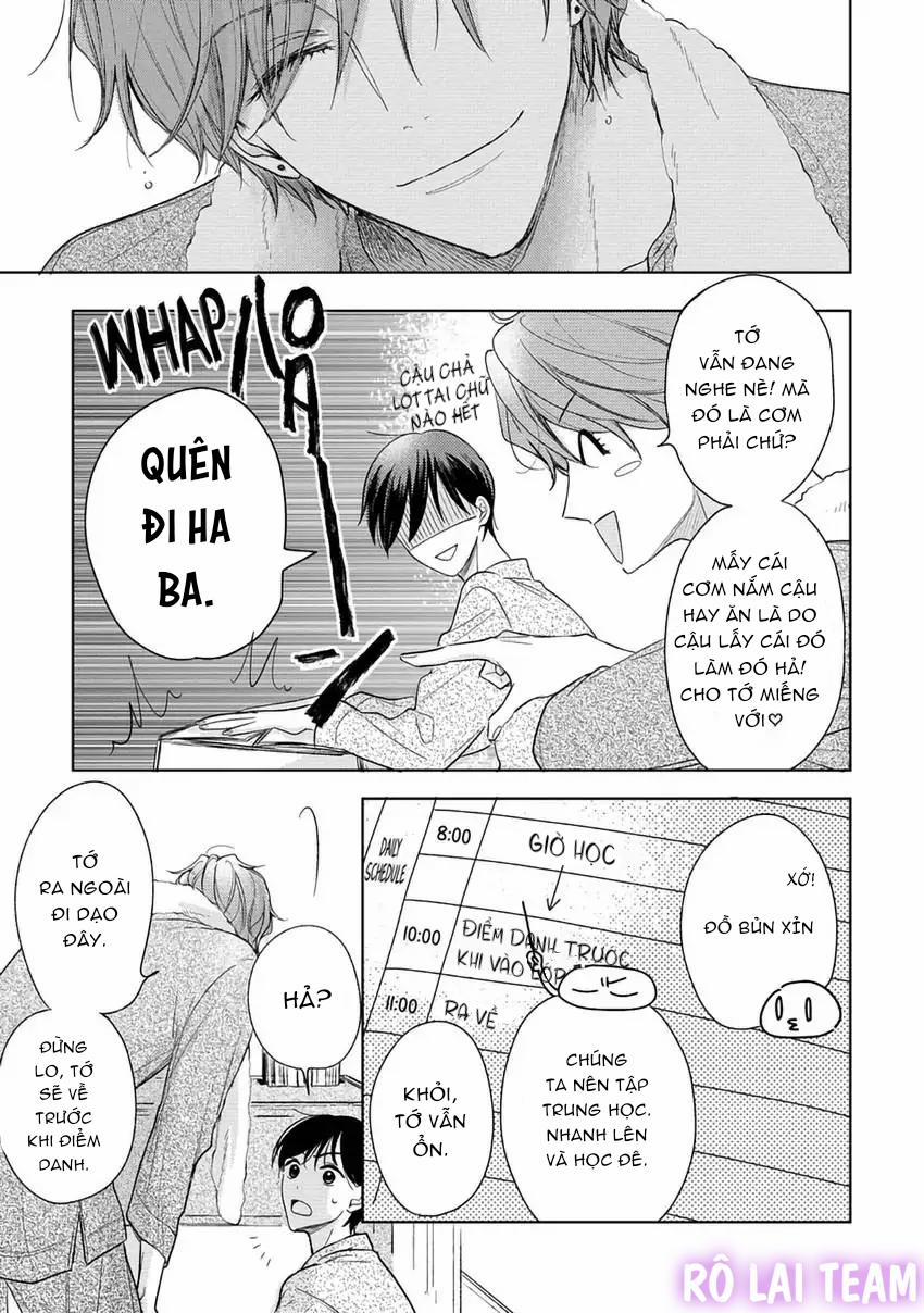 Pittosporum-Shino Makami 1 trang 15