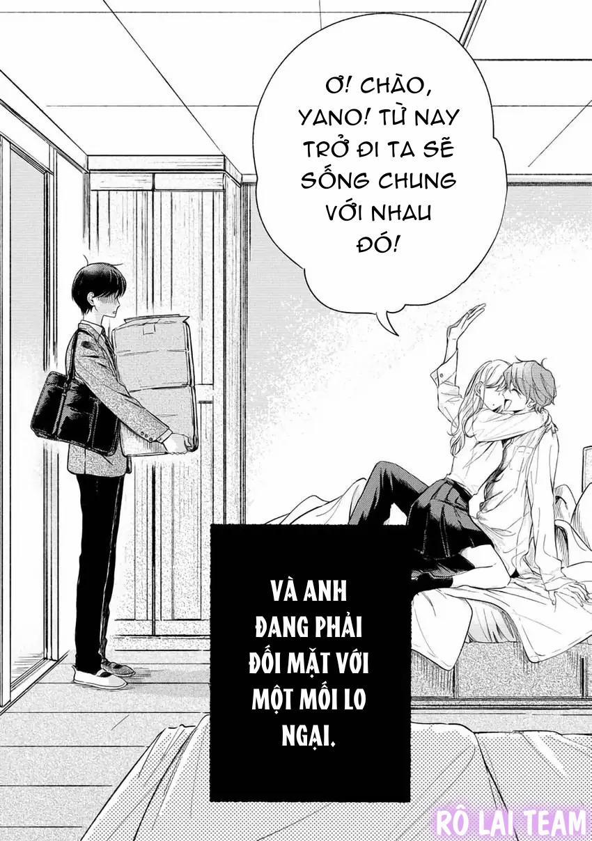 Pittosporum-Shino Makami 1 trang 2