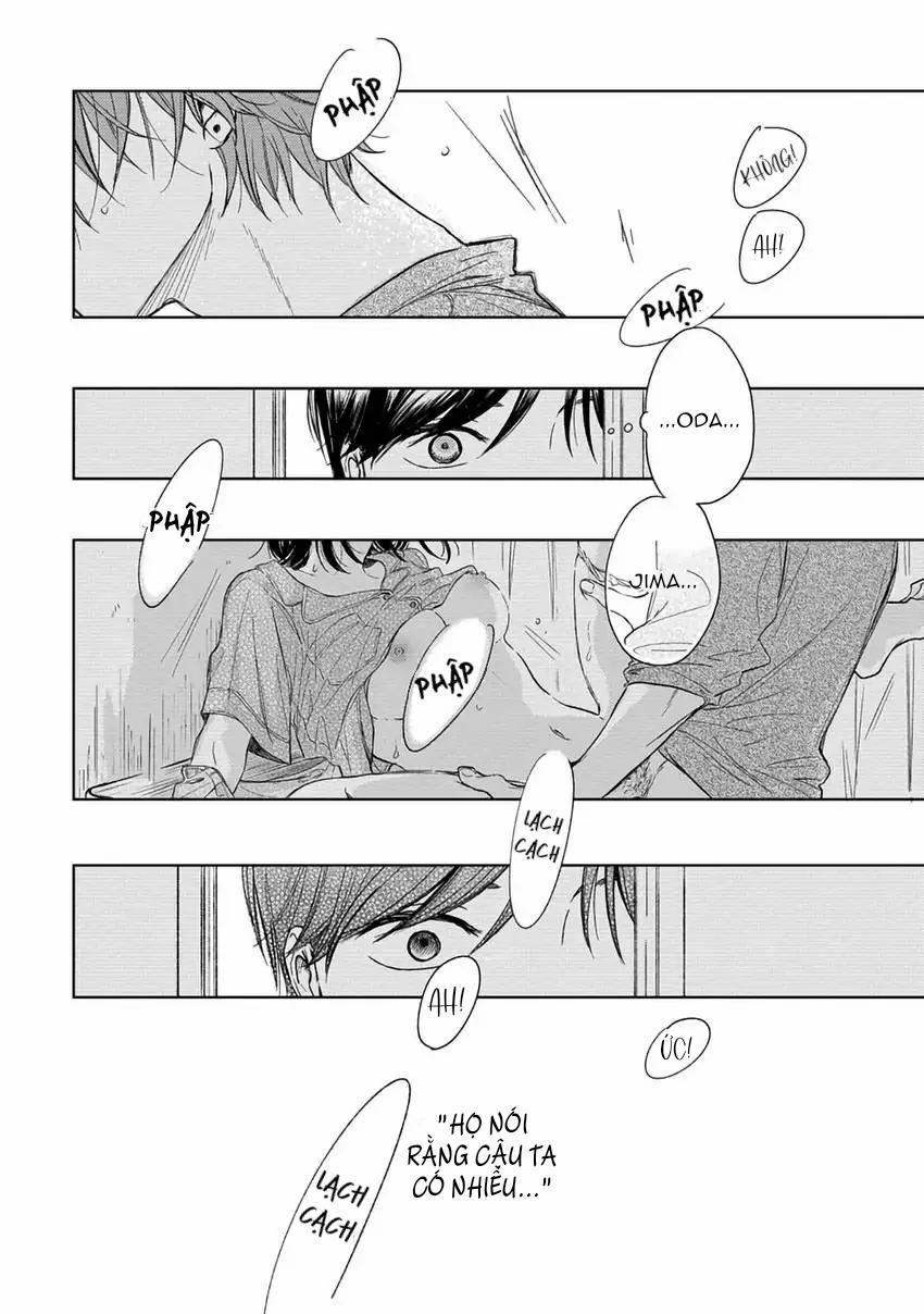 Pittosporum-Shino Makami 1 trang 22