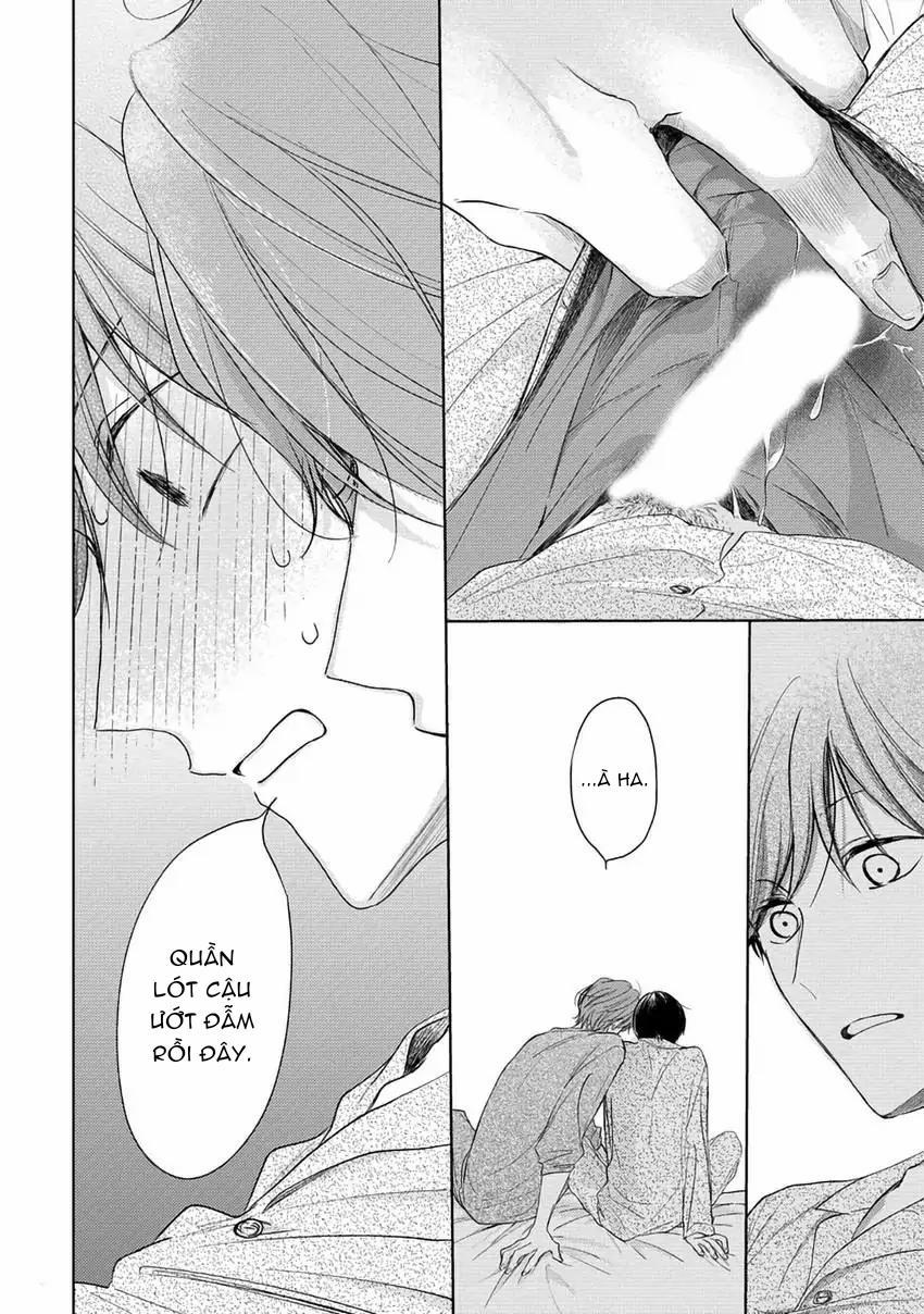 Pittosporum-Shino Makami 1 trang 28