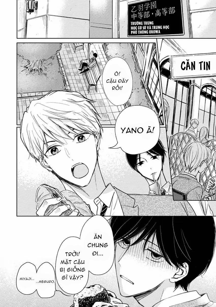 Pittosporum-Shino Makami 1 trang 4