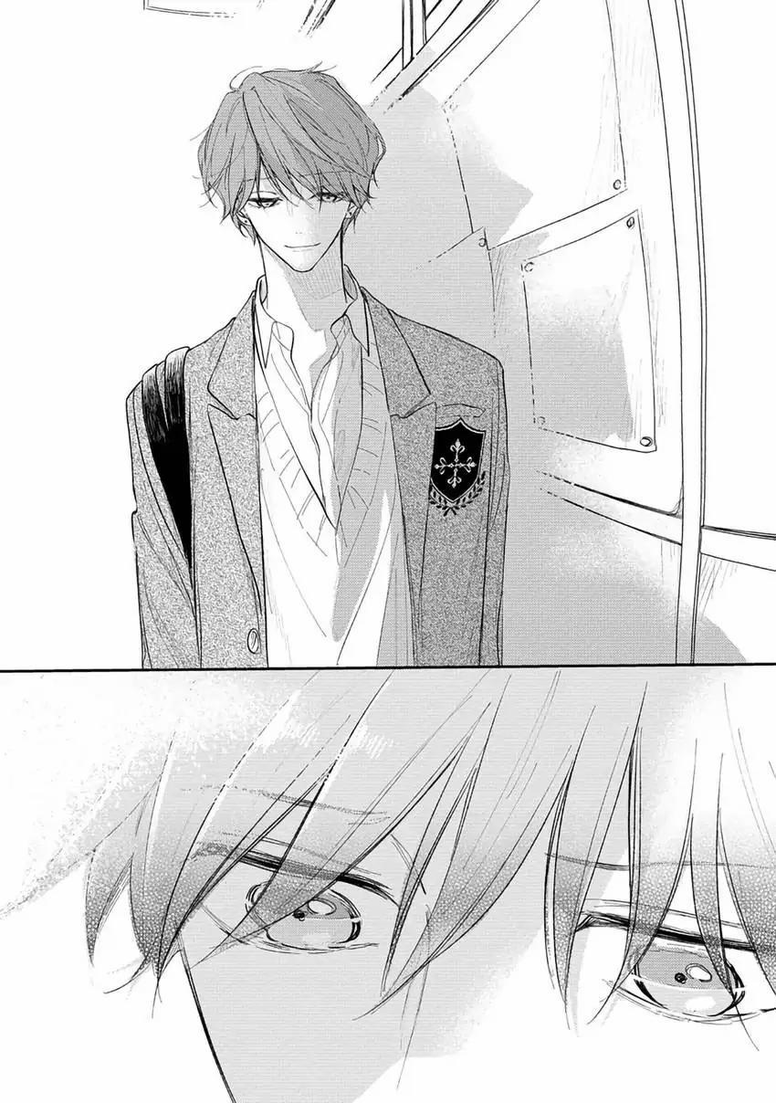 Pittosporum-Shino Makami 10 trang 25